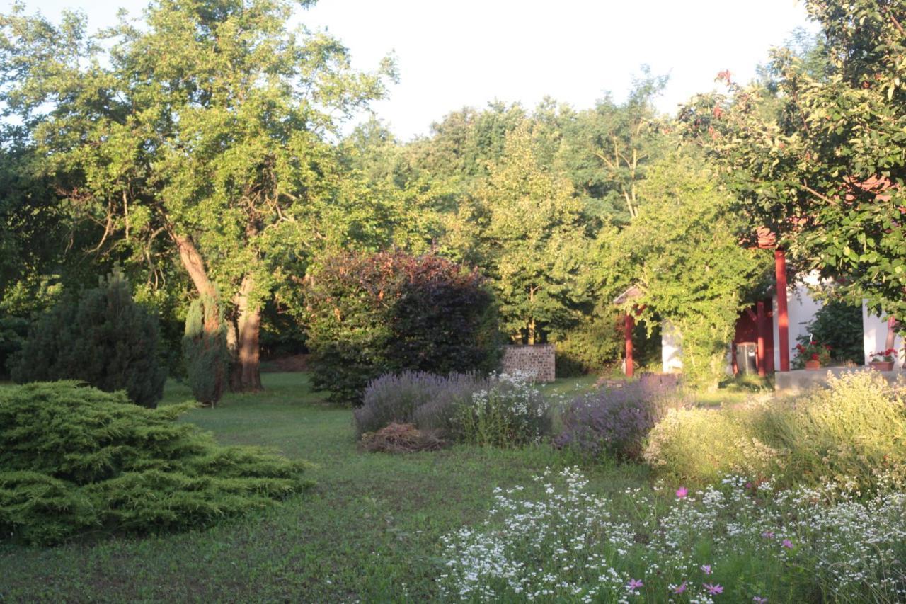 Nagymajor Birding Lodge Tiszacsege Eksteriør bilde